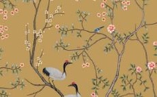 2023年是属鸡年,你知道在这一年佩戴什么最好吗?