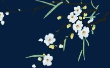 2023年属鼠的百年难遇之机遇:不容错过的历史性时刻