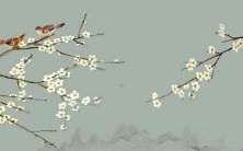 2023年属于哪一命的五行属性?