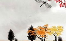 2023年,以属兔的人会经历什么?