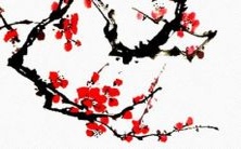 详解:魔蝎座和天蝎座星座之间的区别、相似之处以及如何理解它们的性格特征和人际关系模式