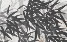 2023年属羊人财运开运方位,详细指南来啦!