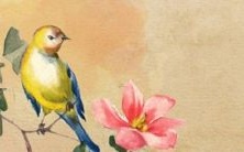 势预测:天干地支相合,属蛇男2023年运势大幅提升,职场升职加薪,财运日益旺盛,家庭和睦顺遂