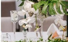 排行榜:与天秤男完美相配合的最佳星座备受推崇!