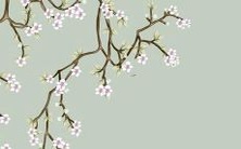 2023年,逐梦之年的兔宝宝运用幸福智慧,独角兔元素融入苹果手机壳,为你的手机注入浓郁生气,让“兔本命”的生肖魅力尽显!