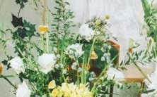 男性射手座一区和女性水瓶座二区:解析配对关系及彼此性格特点分析