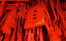 属虎人面对2022年本命年,是否会经历多次倒霉事件?探究虎年属虎人在2022年的运势及其遭遇的负面情况