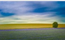 华·玄空乙亥日柱精论:三命通会,深入剖析壬水清之玄妙!