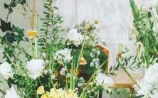 哪一个星座的人出现伟大人物的机率最高?