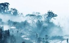 揭秘属猴人在2023年的命运走向:全年运势预测!