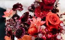 白羊座男完美匹配最佳星座排行榜