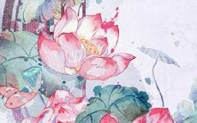 一览众多,带有芷字的可爱迷人男孩名字推荐