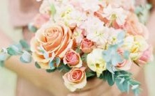 哪个星座最容易让天秤座男女心动并爱上?