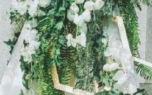 十二星座中的白羊座最匹配哪些星座?