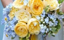 水瓶座和水瓶座之间的配对是否可行?