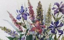 探寻潜藏着优美性感的李姓女孩名字,那些值得一听的令人陶醉的选项