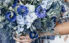 按照权威性和可靠度排列的最全星座信息排行榜