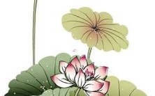 如何应对2023年的破太岁问题并有效破解