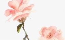 2023年属鼠者,凭借红鸾星的潜力大放异彩!