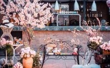 男双鱼座三区和女金牛座二区配对:探讨星座爱情匹配中的天生优势和潜在挑战