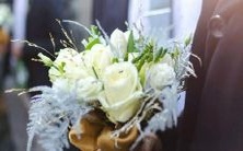 可以考虑这样改写标题: