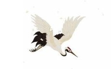 探寻浓郁魅力的高贵翩翩总裁之美妙音韵:搜罗最优秀的名字佳选