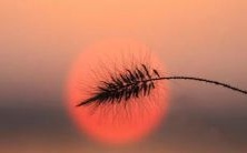 1985年属牛的人在2023年的运势以及他们可能拥有的子女数量是多少?