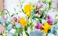 哪个星座的个性最为挑剔和苛刻?