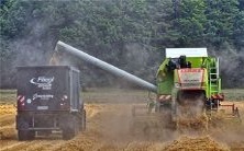 在梦中看到自己穿着黑色鞋子的情景:揭示您潜意识中的哪些象征和意义?