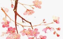 属虎的人在2023年的财运和运势如何?