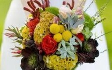 如何评价男金牛双子座和女巨蟹座三区配对的可能性和优劣因素?