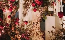 不同生活,独立同样幸福:探讨星座配对的个性特点、生活样貌以及彼此之间的契合程度