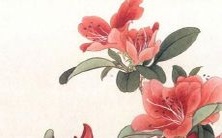 属羊人需注意的2023年大忌:如何避免倒霉、解厄、安康无忧