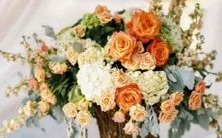 的星座匹配性分析:探究两个星座之间的相性和关系是否具有亲和力?