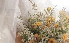 星座之间的48种星区组合配对方式:探讨常用的天文学术语,发掘宇宙奥秘!