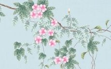 是否适合将虎宝宝赐予小名墩墩?