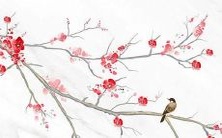 2023年属兔的人,哪个月份是最为吉祥有利的呢?