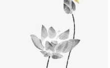 2023年即将到来,是否属羊人适合开展商业经营呢?