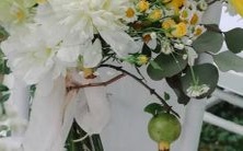 男性水瓶座第三星座区和女性摩羯座第一星座区的配对是否成功?