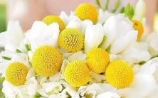 个性?掌握星象学:用星座来了解自我认知和人际关系