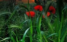 揭秘1992年出生者的命运:探究1992年出生者缺少的元素