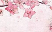 甲午日柱女命十神:在人际交往中独当一面的维护者