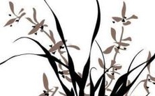 2023年属兔的人今年会遭遇什么不幸,以及如何避免?