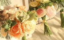 性版,看看你在哪个排名上?