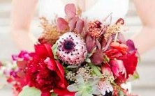 摩羯座男生和白羊座女生一区配对的性格特点和相容性分析