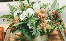 男双子座位于一区,与女白羊座位于二区的星座搭配,爆笑带感,两个完美性格的组合!