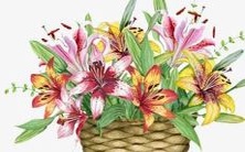 的流行趋势:探寻未来父母的取名偏好和宝宝个性化命名趋势