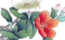 收集最棒的农庄名称汇总,带你走进美丽田园风光的世界!