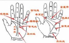 手掌心上有痣的人会如何命运?手掌心上有痣的人的美好前景如何?