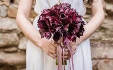 双子座女生和天秤座男生结婚组成配偶关系,是否是一个良好的决定?